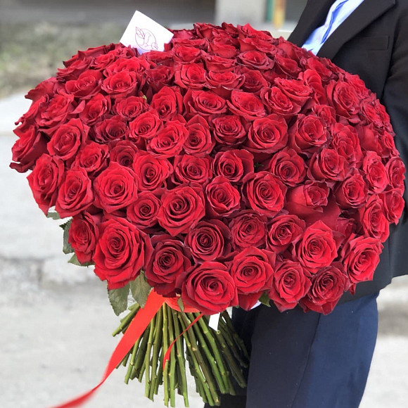 Букет из 101 красной розы 60 см (Эквадор)