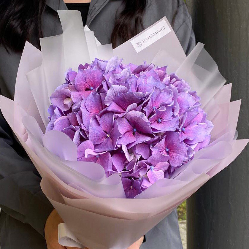Букет из фиолетовой гортензии в фирменной упаковке