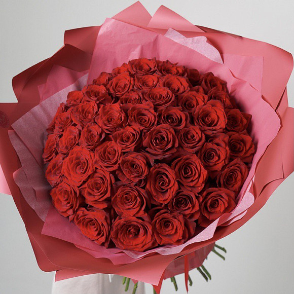Букет из 51 розы Эксплорер 60 см (Эквадор) в фирменной упаковке