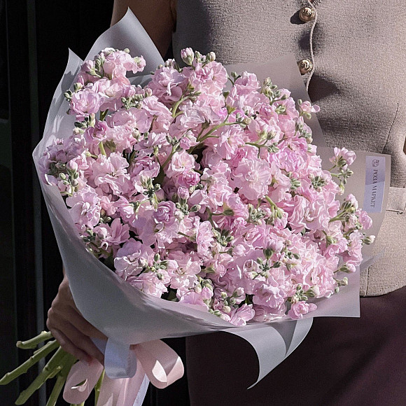 Букет из 15 розовых кустовых маттиол в фирменной упаковке