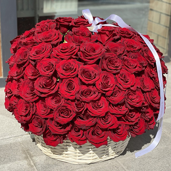 Корзина из 151 красной розы Эксплорер (PREMIUM)