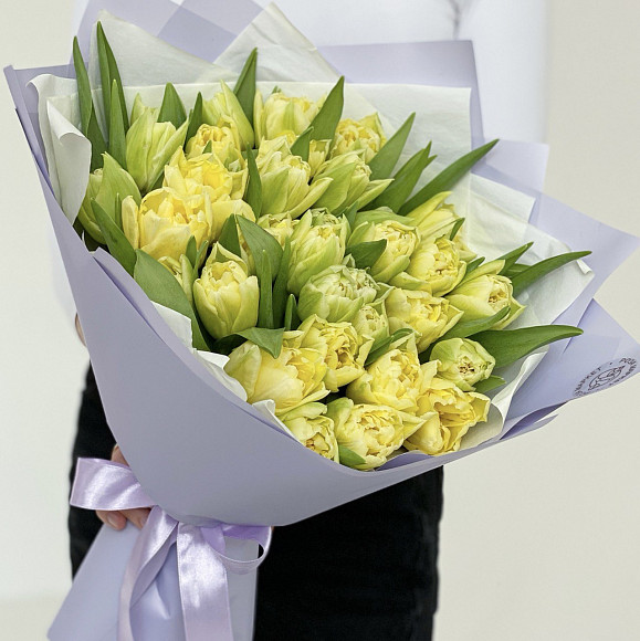 Букет из 35 пионовидных тюльпанов Верона (Голландия) в фирменной упаковке