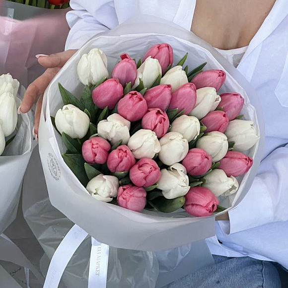 Букет из 31 белого и розового тюльпана в упаковке