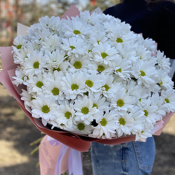 Букет из 15 белых кустовых хризантем в фирменной упаковке