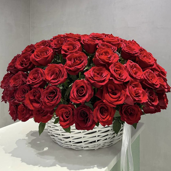 Корзина из 151 розы Эксплорер (PREMIUM)