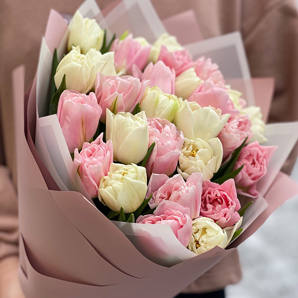 Букет из 31 пионовидного белого и розового тюльпана в упаковке