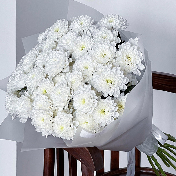 Букет из 11 белых кустовых хризантем Алтай в упаковке