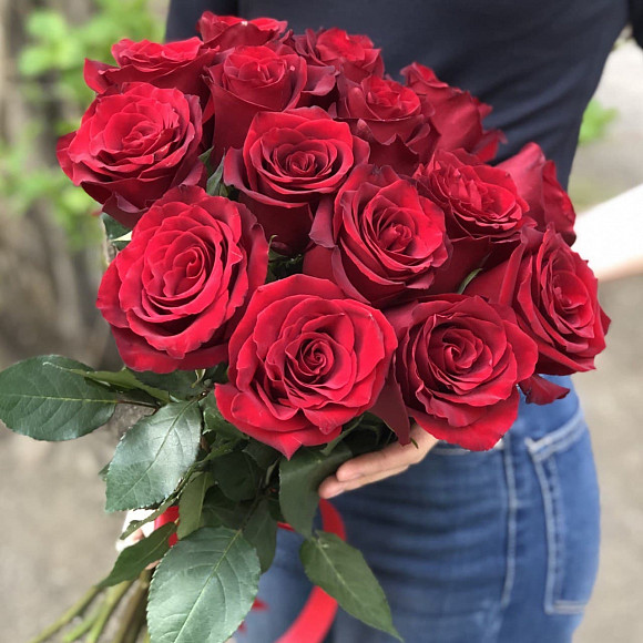 Букет из 15 красных роз Эксплорер 50 см (Эквадор)