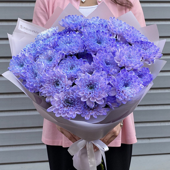 Букет из 7 кустовых фиолетовых хризантем в фирменной упаковке
