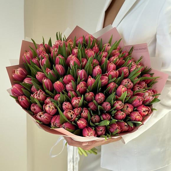 Букет из 101 пионовидного тюльпана Коламбус (Голландия) в фирменной упаковке