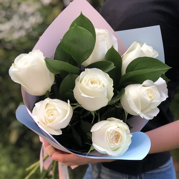 Букет из 7 белых роз Прауд 50 см (Эквадор) с рускусом в фирменной упаковке