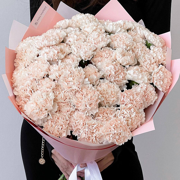 Букет из 51 диантуса Брют в матовой упаковке