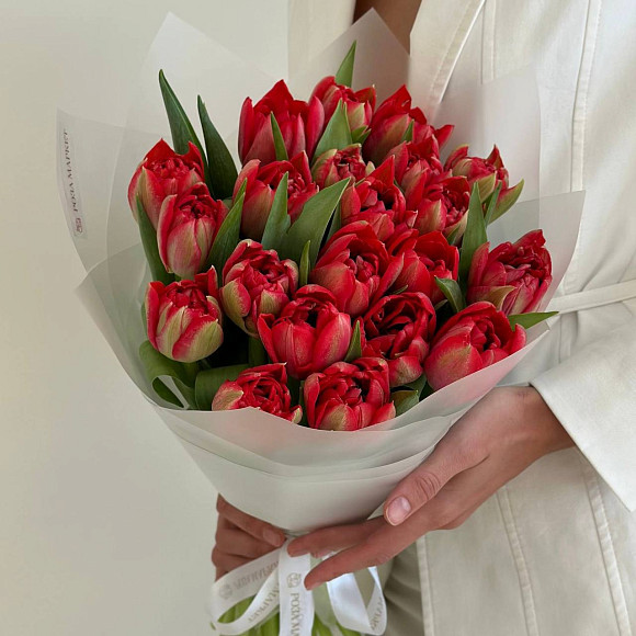 Букет из 21 пионовидного красного тюльпана (Голландия) в матовой упаковке